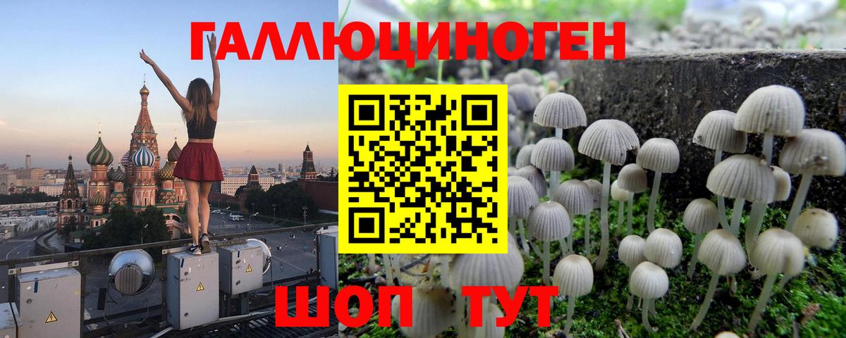 Псилоцибиновые грибы прущие грибы Кунгур